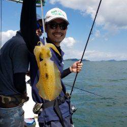 Magic（マジック） 釣果