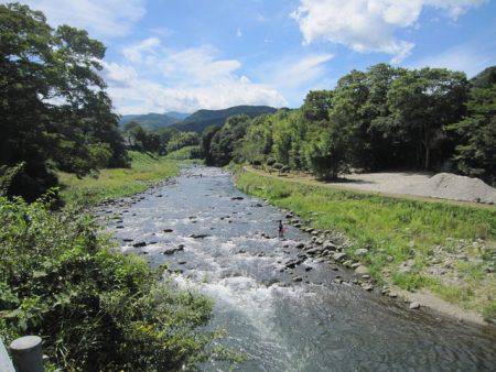 狩野川(狩野川漁業協同組合) 釣果