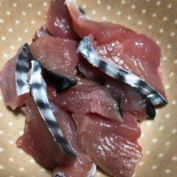 へいみつ丸 釣果