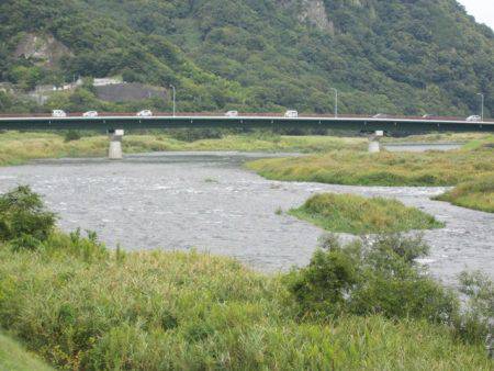 狩野川(狩野川漁業協同組合) 釣果