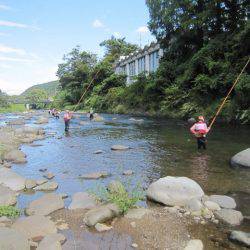狩野川(狩野川漁業協同組合) 釣果