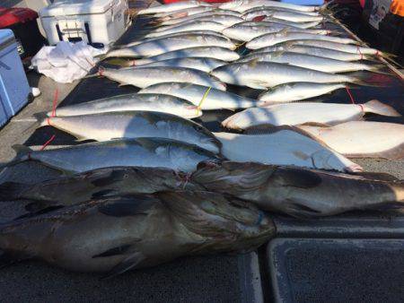 幸風（さちかぜ） 釣果