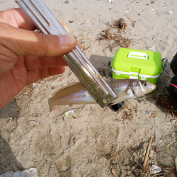 キス不調は続く・・・