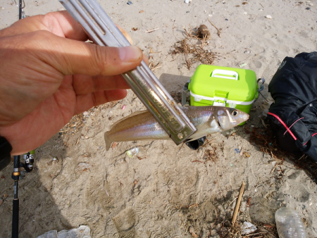 キス不調は続く・・・