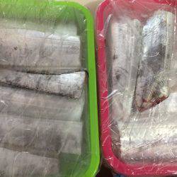 ケーソンのタチウオ