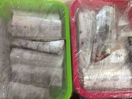 ケーソンのタチウオ