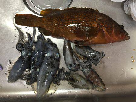 アオリデイゲーム