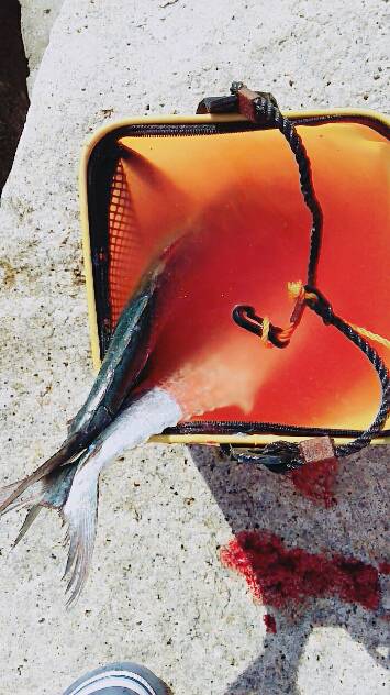 台風直後はやはり