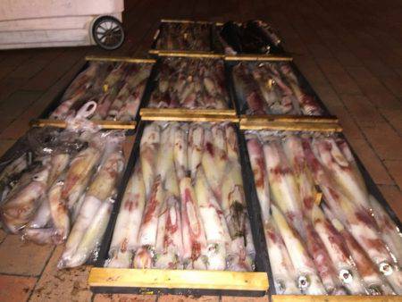 幸風（さちかぜ） 釣果