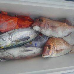 遊漁船 新鋭丸 釣果