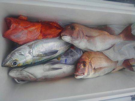 遊漁船 新鋭丸 釣果