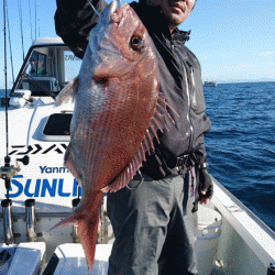 遊漁船ブルーウッズ 釣果