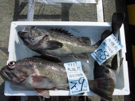 大進丸（新潟） 釣果