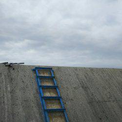 初のハマチ？ツバス？