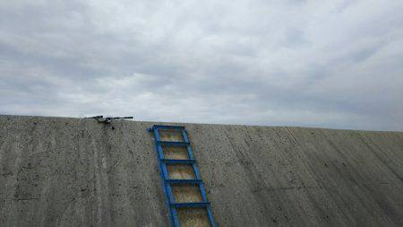 初のハマチ？ツバス？