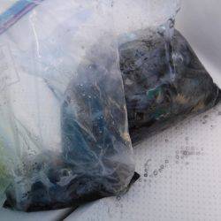 BlueNote Fishing Taxi 釣果