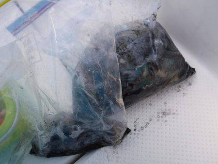 BlueNote Fishing Taxi 釣果