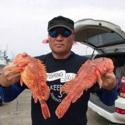 大進丸(新潟) 釣果