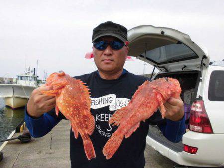 大進丸（新潟） 釣果