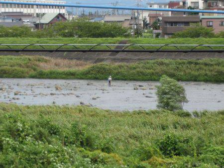 狩野川(狩野川漁業協同組合) 釣果