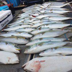 幸風（さちかぜ） 釣果