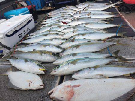 幸風（さちかぜ） 釣果