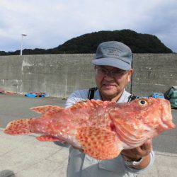 大進丸（新潟） 釣果