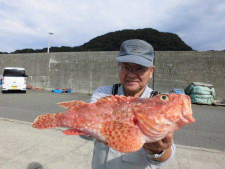 大進丸（新潟） 釣果