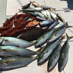 ふじしめ丸 釣果