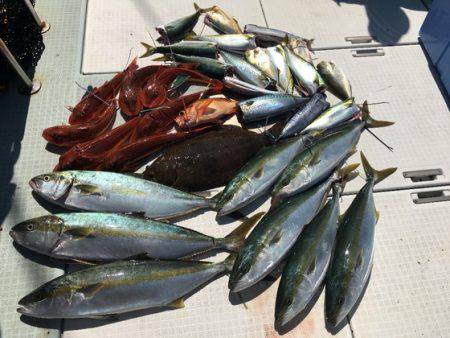 ふじしめ丸 釣果