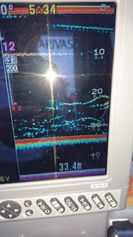 遊漁船ブルーウッズ 釣果
