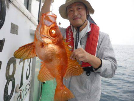 真祐丸 （しんゆうまる） 釣果