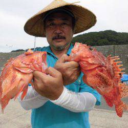 大進丸(新潟) 釣果