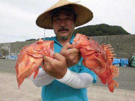 大進丸(新潟) 釣果