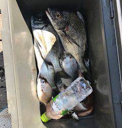 バラモン1号 釣果