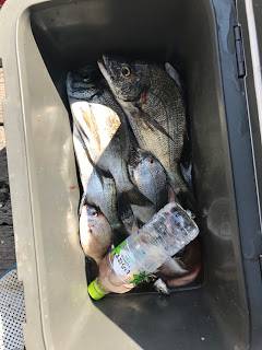 バラモン1号 釣果