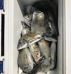 バラモン1号 釣果