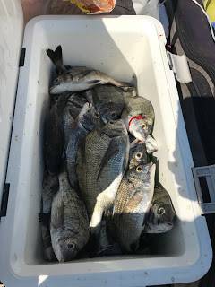 バラモン1号 釣果