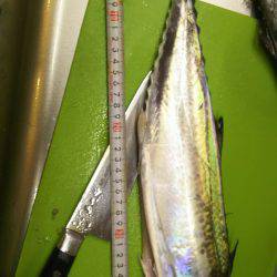 台風直後はやはり