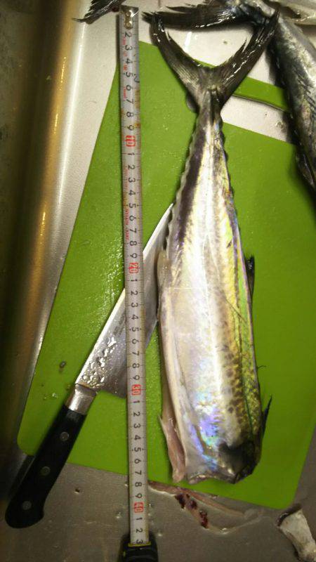 台風直後はやはり