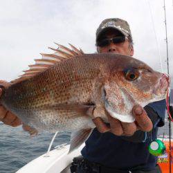 ＢｌｕｅＮｏｔｅ　Ｆｉｓｈｉｎｇ　Ｔａｘｉ 釣果