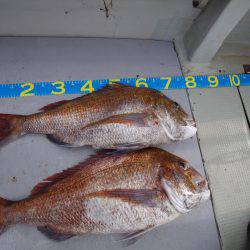 オーシャンズ　京都 釣果