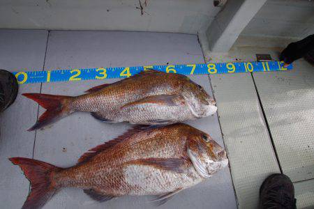 オーシャンズ　京都 釣果