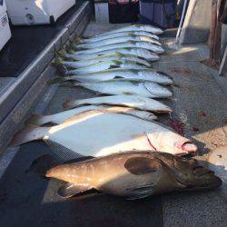 幸風（さちかぜ） 釣果