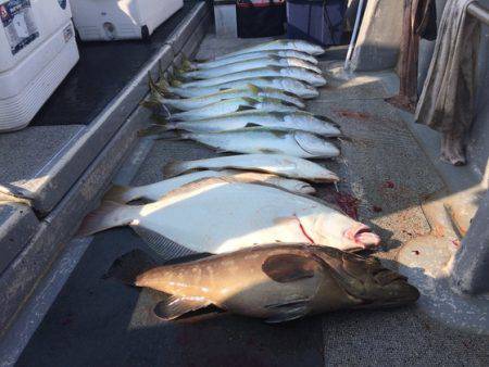 幸風（さちかぜ） 釣果