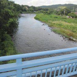狩野川(狩野川漁業協同組合) 釣果