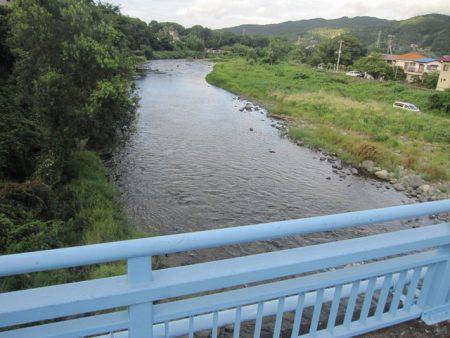 狩野川(狩野川漁業協同組合) 釣果