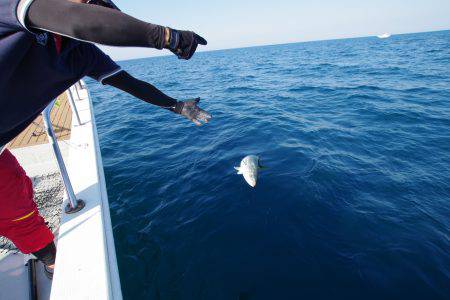 オーシャンズ 京都 釣果
