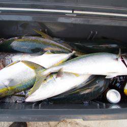 オーシャンズ 京都 釣果