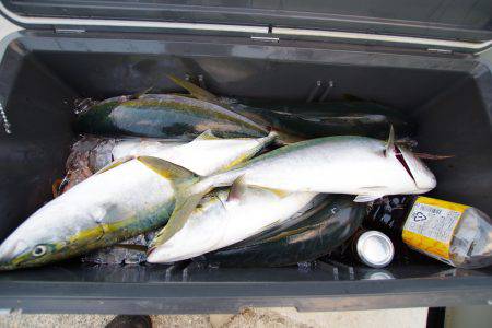 オーシャンズ 京都 釣果